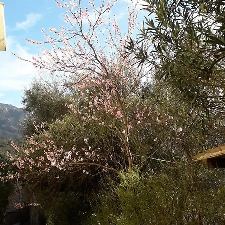 La Casetta Гостевой дом