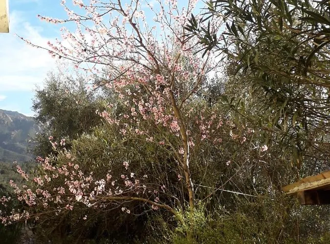 La Casetta Maison d'hôtes
